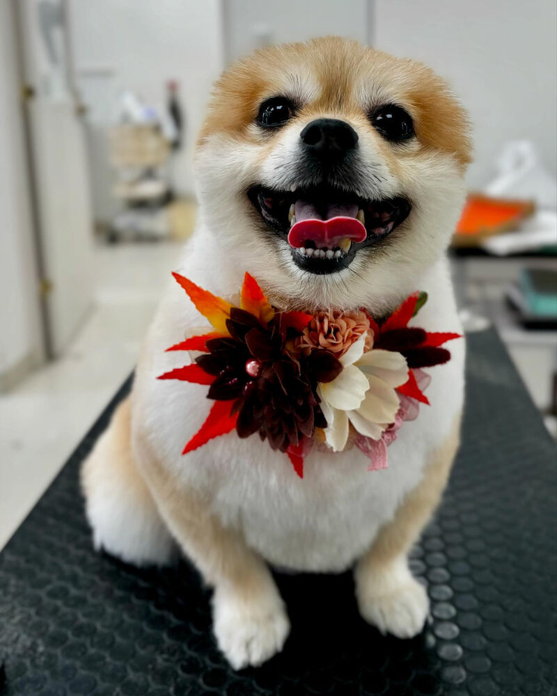 ブログ