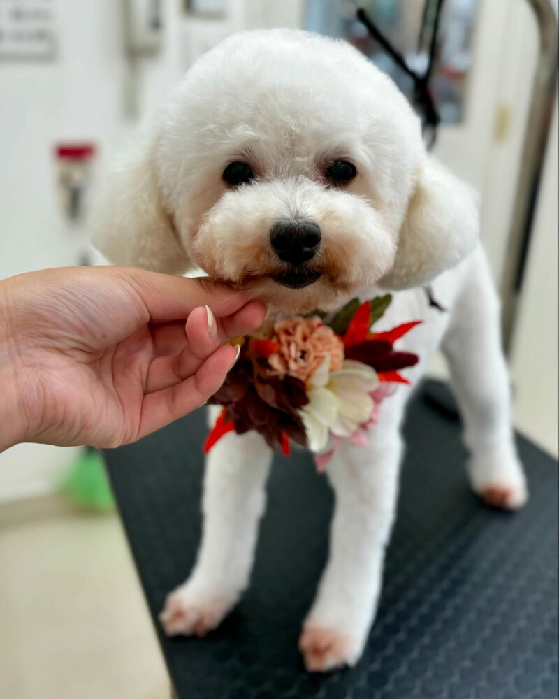 ブログ