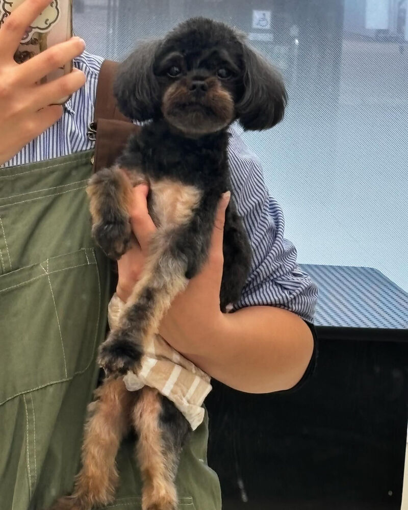 ブログ
