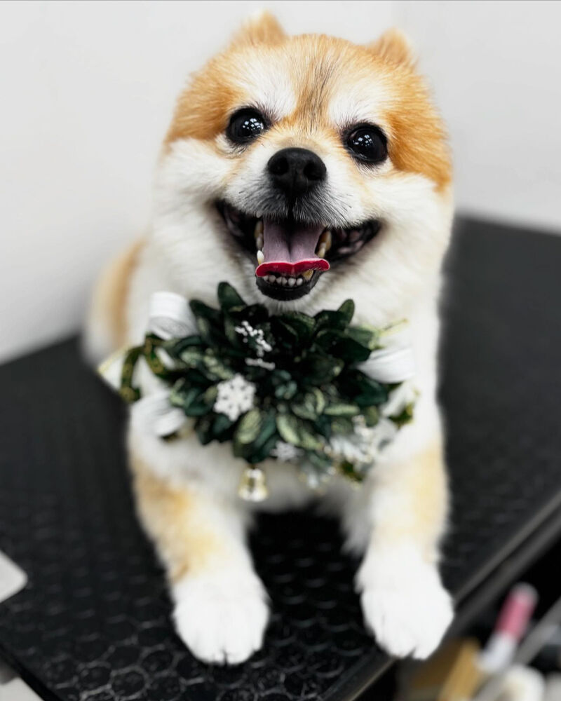 ブログ