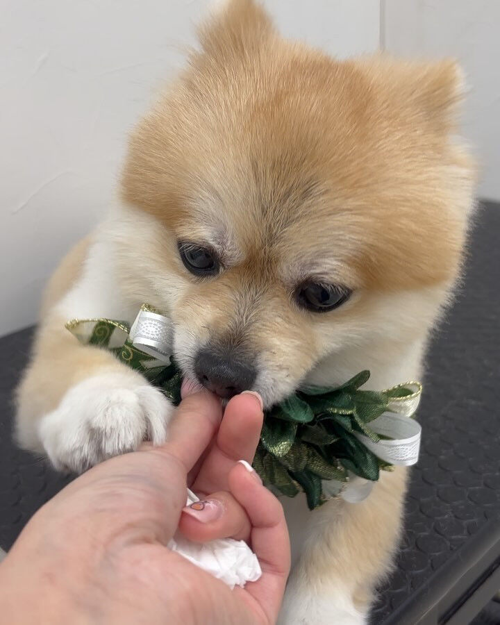 ブログ