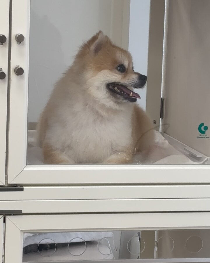 ブログ