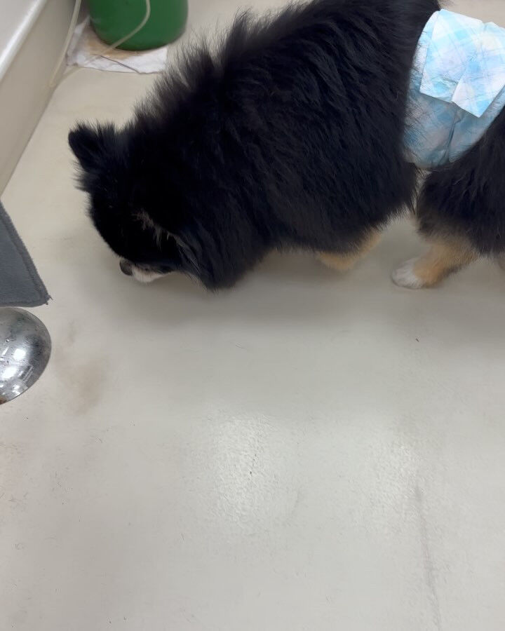 ブログ