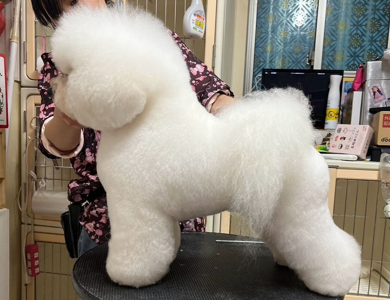 ブログ