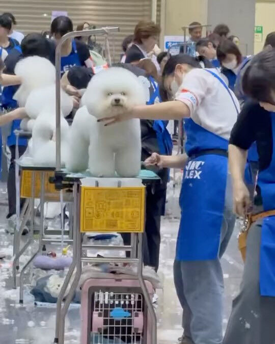 ブログ