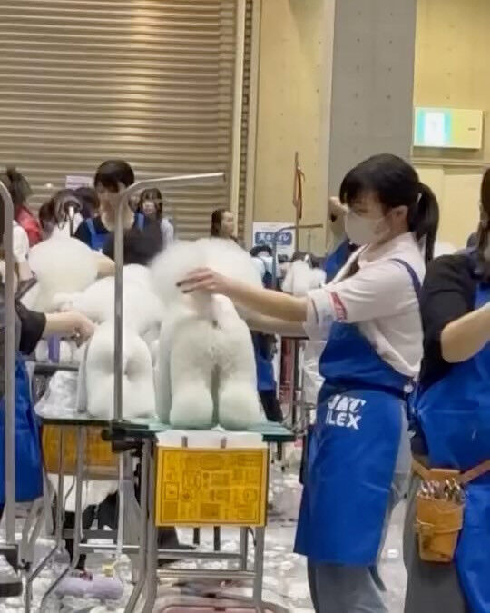 ブログ