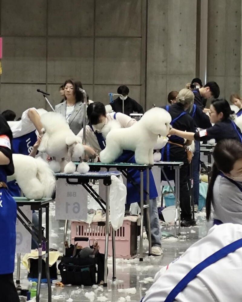ブログ
