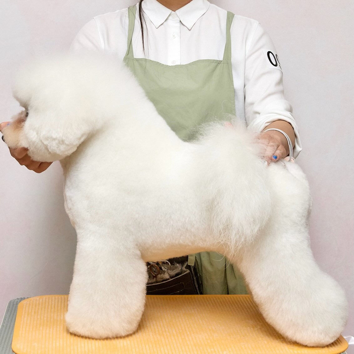 画像5561