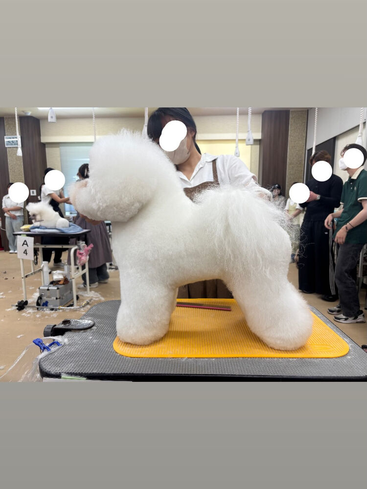ブログ