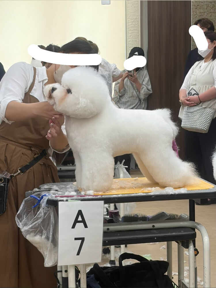 ブログ