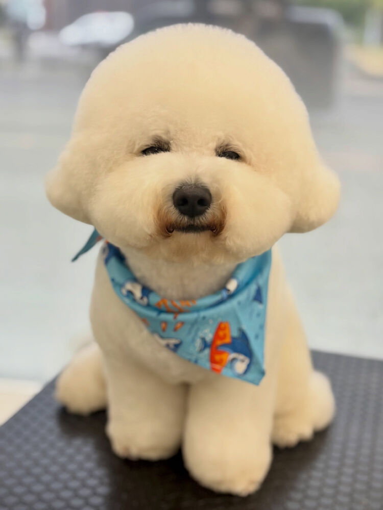 ブログ